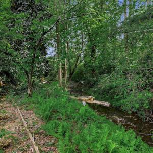 Photo #60 of 1271 Church Street, Appomattox, VA 1.4 acres