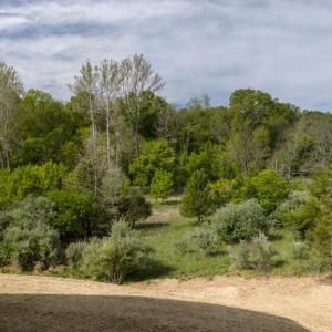Photo #59 of 1488 Deer Hollow Road, Forest, VA 3.4 acres