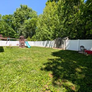 Back yard