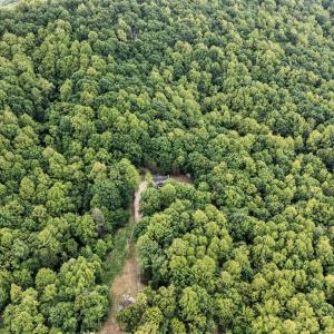 Photo #59 of 280 Hidden Acres Lane, Amherst, VA 22.9 acres