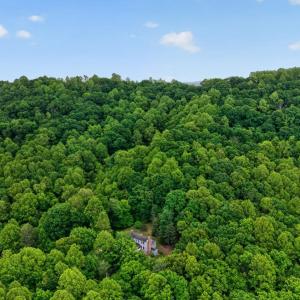Photo #66 of 280 Hidden Acres Lane, Amherst, VA 22.9 acres