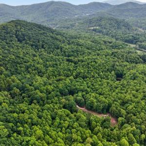 Photo #61 of 280 Hidden Acres Lane, Amherst, VA 22.9 acres
