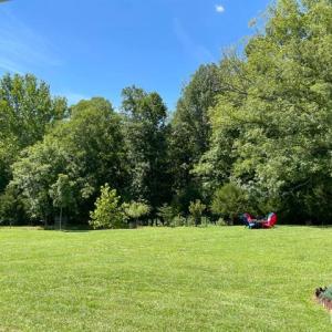 Photo #9 of 1185 Elk Creek Road, Forest, VA 0.7 acres