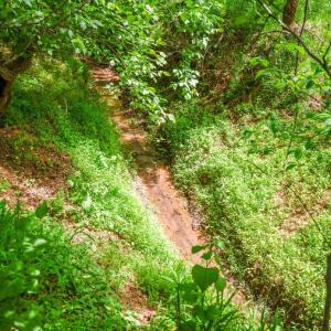 Photo #94 of 2058 Rocky Branch Drive, Forest, VA 3.4 acres