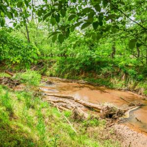 Photo #93 of 2058 Rocky Branch Drive, Forest, VA 3.4 acres