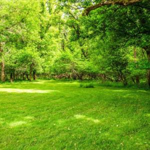 Photo #97 of 2058 Rocky Branch Drive, Forest, VA 3.4 acres