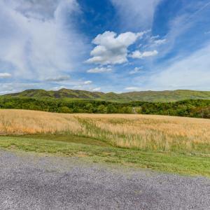 Photo #44 of 11790 Narrow Passage Rd, Eagle Rock, VA 5.0 acres
