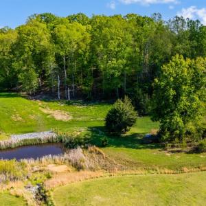 Photo #5 of 1192 Elk Creek Road, Forest, VA 6.2 acres