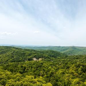 Photo #43 of 270 Little Cabin Road, Amherst, VA 11.5 acres