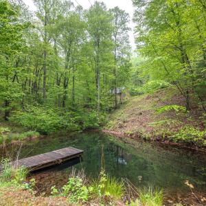 Photo #37 of 270 Little Cabin Road, Amherst, VA 11.5 acres