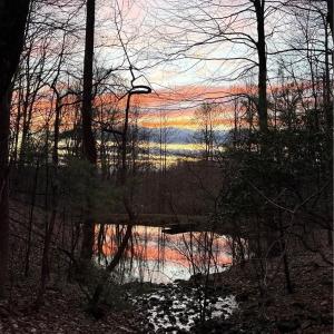 Photo #39 of 270 Little Cabin Road, Amherst, VA 11.5 acres