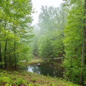 Photo #36 of 270 Little Cabin Road, Amherst, VA 11.5 acres