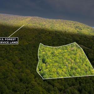 Photo #42 of 270 Little Cabin Road, Amherst, VA 11.5 acres