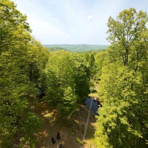 Photo #45 of 270 Little Cabin Road, Amherst, VA 11.5 acres