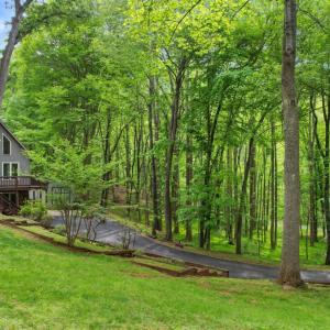 Photo #3 of 1110 Adam Hill Ct, Lynchburg, VA 3.5 acres
