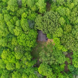 Photo #55 of 1110 Adam Hill Ct, Lynchburg, VA 3.5 acres