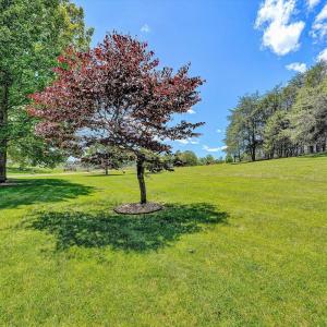 Photo #70 of 120 Stonelea Drive, Troutville, VA 6.3 acres
