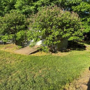 Photo #49 of 301 Mullbury Place, Lynchburg, VA 0.8 acres