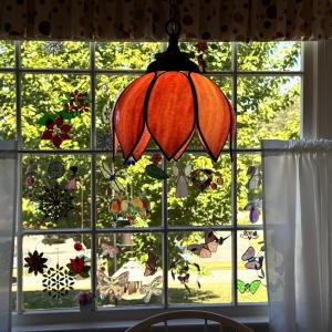 Photo #28 of 302 Halifax Street, Phenix, VA 1.5 acres