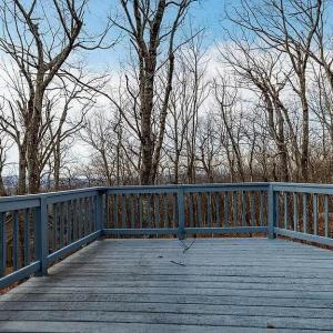 Photo #7 of 20 Red Cedar Ct, Wintergreen, VA 0.5 acres