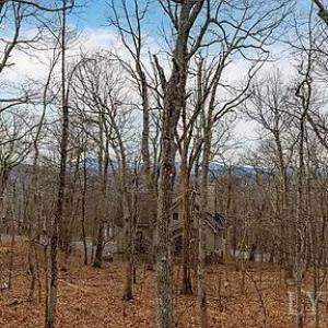 Photo #8 of 20 Red Cedar Ct, Wintergreen, VA 0.5 acres