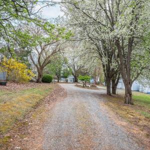 Photo #50 of 4404 Murray Hollow Road, Thaxton, VA 27.6 acres