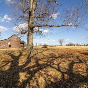 Photo #40 of 3039 T.N. Snow Road, Nathalie, VA 11.8 acres