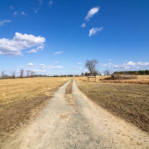 Photo #49 of 3039 T.N. Snow Road, Nathalie, VA 11.8 acres