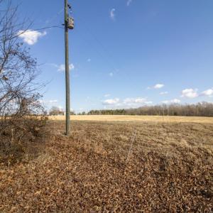 Photo #44 of 3039 T.N. Snow Road, Nathalie, VA 11.8 acres