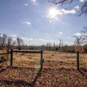 Photo #42 of 3039 T.N. Snow Road, Nathalie, VA 11.8 acres