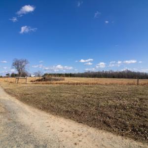 Photo #50 of 3039 T.N. Snow Road, Nathalie, VA 11.8 acres