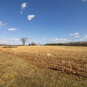 Photo #47 of 3039 T.N. Snow Road, Nathalie, VA 11.8 acres