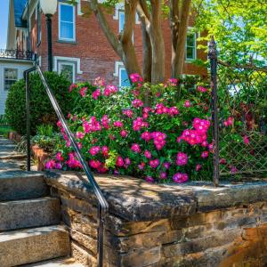 Photo #87 of 602 Washington Street, Lynchburg, VA 0.3 acres