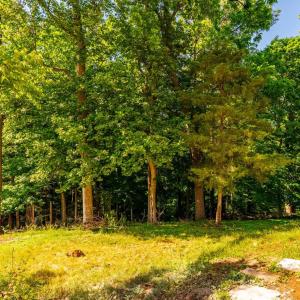Photo #69 of 119 Fredonia Ave, Lynchburg, VA 0.5 acres