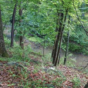 Photo #67 of 1146 Audubon Dr, Lynchburg, VA 2.5 acres