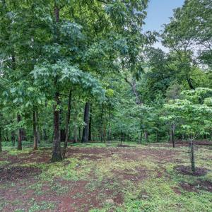 Photo #66 of 1146 Audubon Dr, Lynchburg, VA 2.5 acres