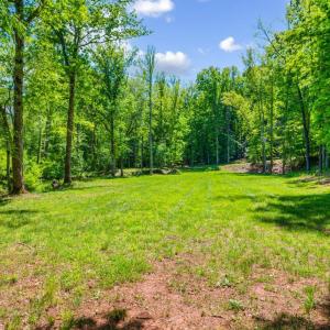Photo #89 of 1038 Lees Mill Lane, Goode, VA 20.0 acres