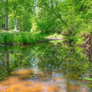 Photo #91 of 1038 Lees Mill Lane, Goode, VA 20.0 acres