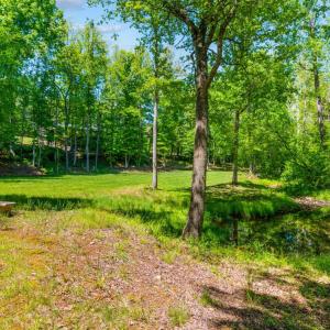 Photo #90 of 1038 Lees Mill Lane, Goode, VA 20.0 acres