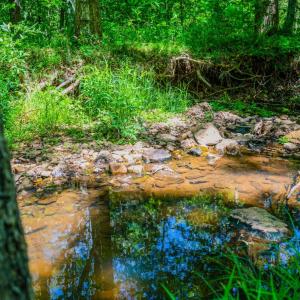 Photo #92 of 1038 Lees Mill Lane, Goode, VA 20.0 acres
