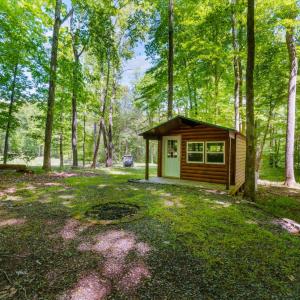 Photo #93 of 1038 Lees Mill Lane, Goode, VA 20.0 acres