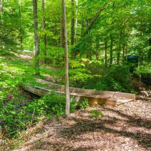 Photo #96 of 1038 Lees Mill Lane, Goode, VA 20.0 acres