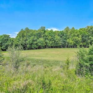 Photo #13 of 115 Retreat Lane, Huddleston, VA 0.2 acres
