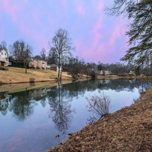 Photo #63 of 1305 Summerpark Drive, Forest, VA 1.0 acres