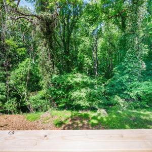 Photo #33 of 1432 Nelson Drive, Lynchburg, VA 1.1 acres