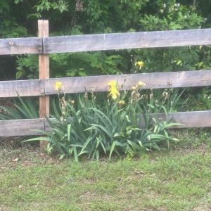 Photo #35 of 397 Epsons Road, Long Island, VA 0.7 acres