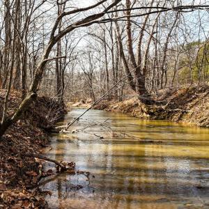 Stonewall Creek