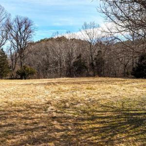 Photo #11 of 643 River Bottom Lane, Concord, VA 15.0 acres