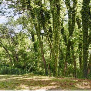 Photo #30 of 1618 Buchanan Street, Lynchburg, VA 0.1 acres