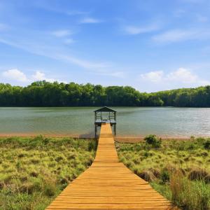 Photo #45 of 209 Leesville Lake ct, Pittsville, VA 5.4 acres